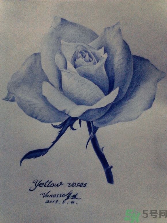 16歲少年圓珠筆畫出大作 圓珠筆畫入門怎么學(xué)？