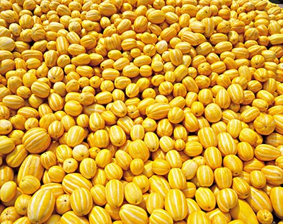 拉肚子能吃香瓜嗎？拉肚子吃香瓜好嗎？