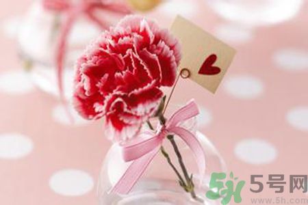 母親節(jié)送幾朵康乃馨好？母親節(jié)應(yīng)該送幾朵康乃馨？