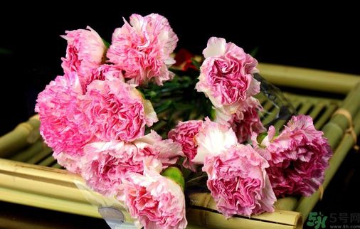 母親節(jié)送什么花好？母親節(jié)應(yīng)該送什么鮮花？