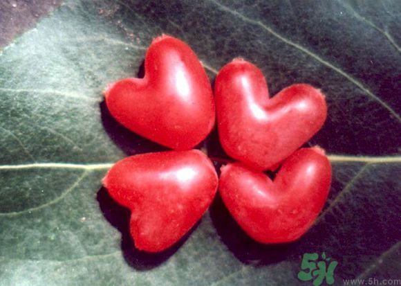 杈杷果好吃嗎？杈杷果的營(yíng)養(yǎng)價(jià)值與功效