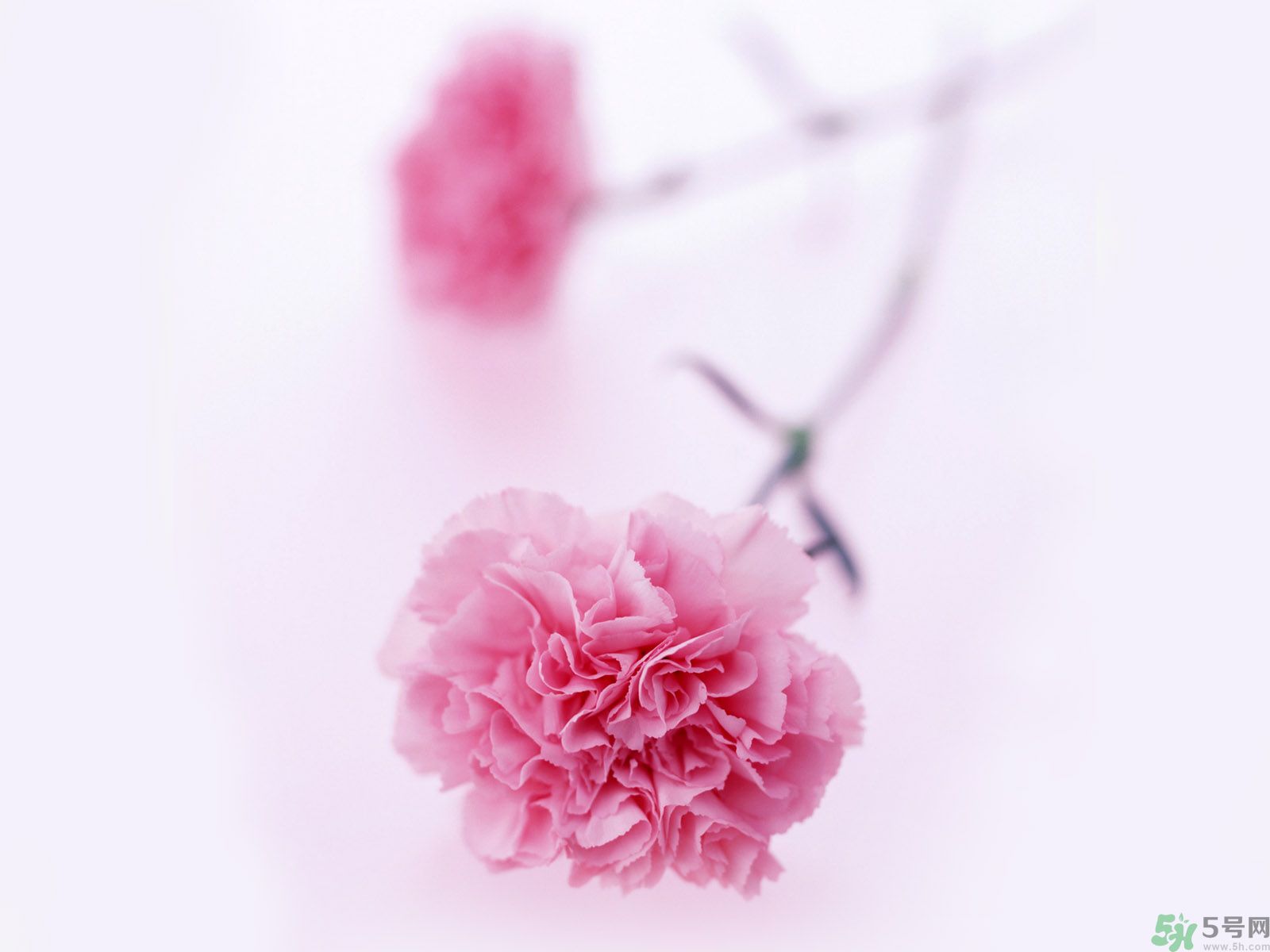 母親節(jié)送什么禮物給婆婆？母親節(jié)送什么禮物給婆婆好？