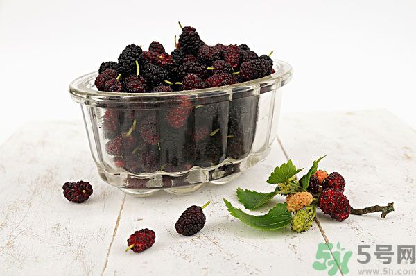 桑葚泡酒男人可以喝嗎？桑葚泡酒男人喝好不好？