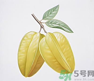 楊桃和什么不能一起吃？楊桃不能與什么同食？