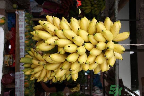 孕婦可以吃牛奶蕉嗎？孕婦吃牛奶蕉好嗎？