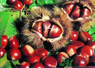 板栗是酸性還是堿性？板栗是酸性的嗎？