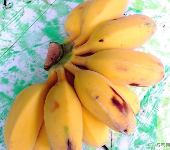 什么是牛奶蕉？牛奶蕉好吃嗎？