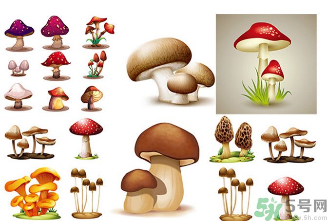 吃蘑菇可以喝酒嗎？吃蘑菇喝酒會中毒嗎？