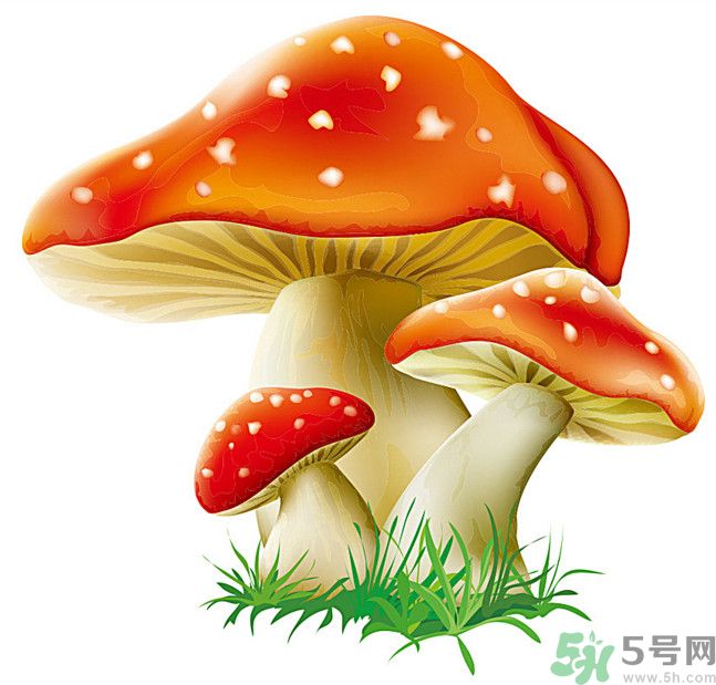 吃蘑菇可以喝酒嗎？吃蘑菇喝酒會中毒嗎？