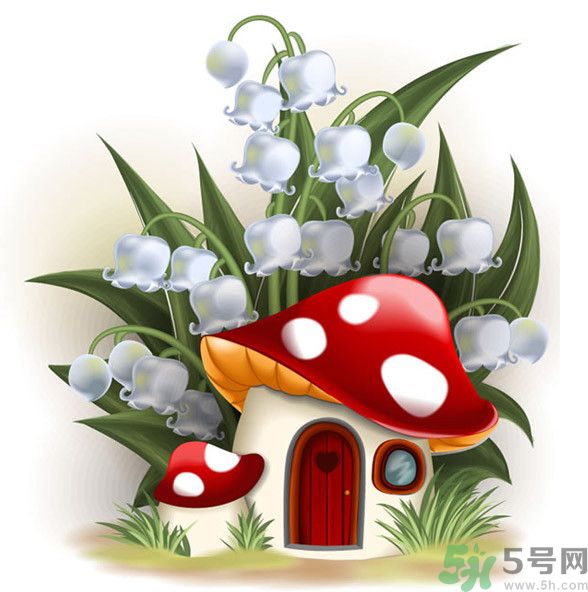 吃蘑菇可以喝酒嗎？吃蘑菇喝酒會中毒嗎？