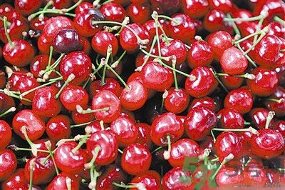 櫻桃是溫性的還是熱性的？櫻桃是溫性的嗎？