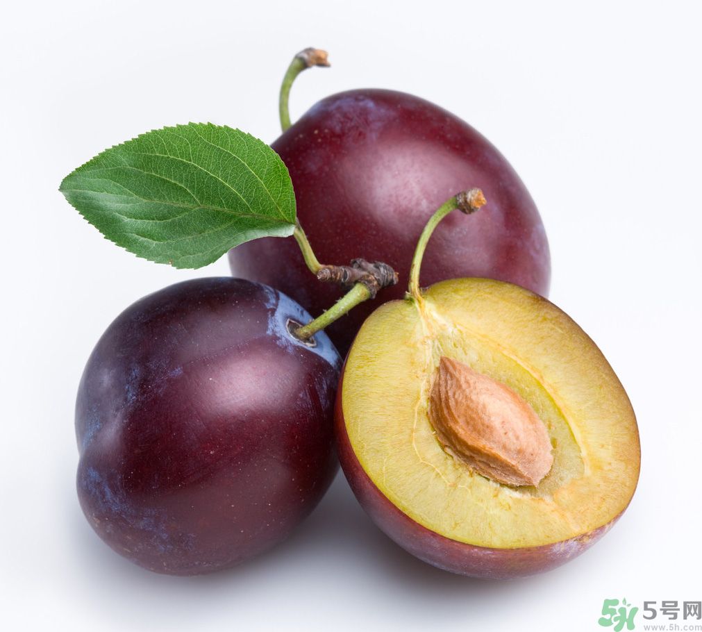 李子是熱性還是涼性？李子是涼性的嗎？