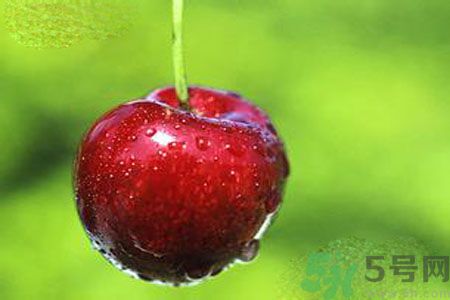 月經期間可以吃李子嗎？月經期間吃李子好嗎？