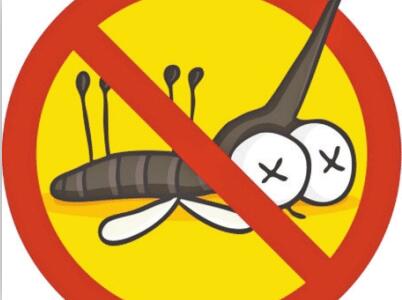 風(fēng)油精和清涼油哪個(gè)好？風(fēng)油精和清涼油有什么妙用？