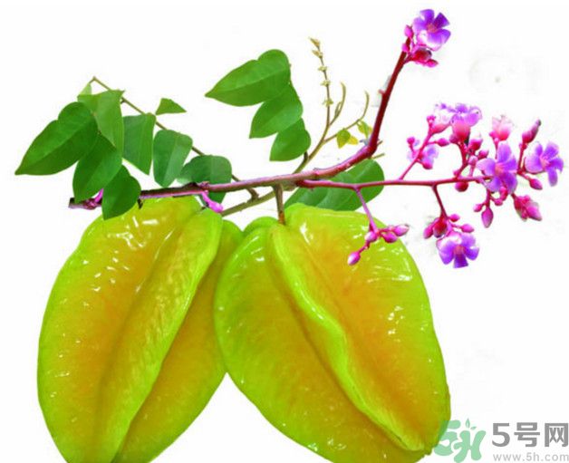 慢性腎炎可以吃楊桃嗎？慢性腎炎吃楊桃好嗎？