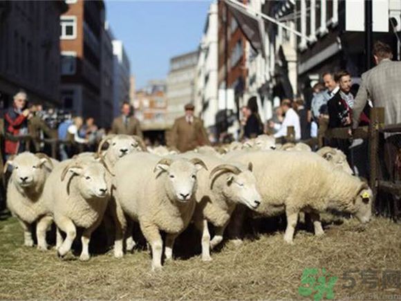 如何挑選高定西裝？定制西裝要注意些什么？