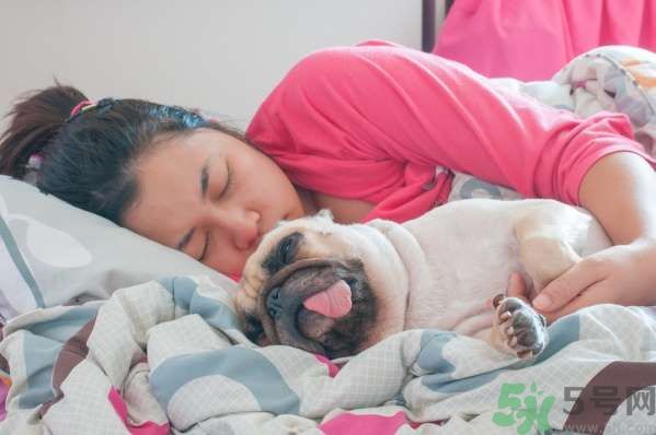 和寵物一起睡覺要注意什么？寵物睡姿有什么含義？