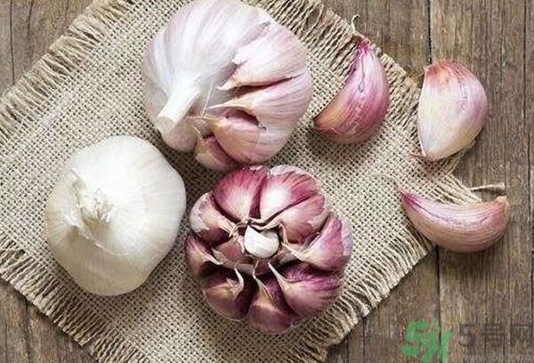 提高記憶力要吃什么食物？吃什么食物提高記憶力？