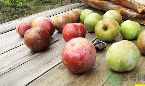 李子可以美容嗎？李子怎么吃可以美容？