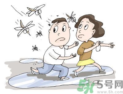 被蚊子咬很癢怎么辦？被蚊子咬要怎么止癢？