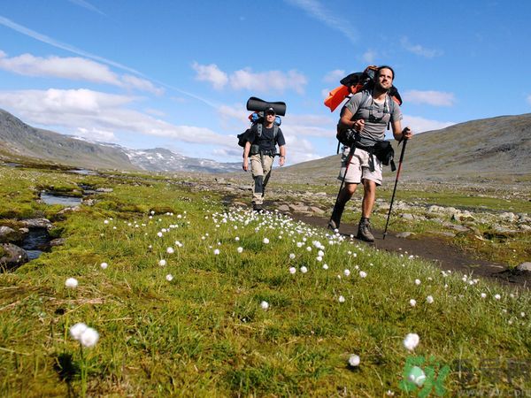 小伙辭職旅行3年帶回美國女友 徒步旅游裝備有哪些 小伙辭職旅行3年帶回美國女友 徒步旅游裝備有哪些
