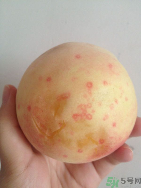 桃子上有紅點(diǎn)能吃嗎？桃子上有黑點(diǎn)可以吃嗎？