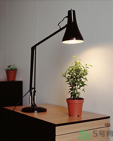 眼鏡疲勞喝什么茶好？喝什么可以抗眼睛疲勞？