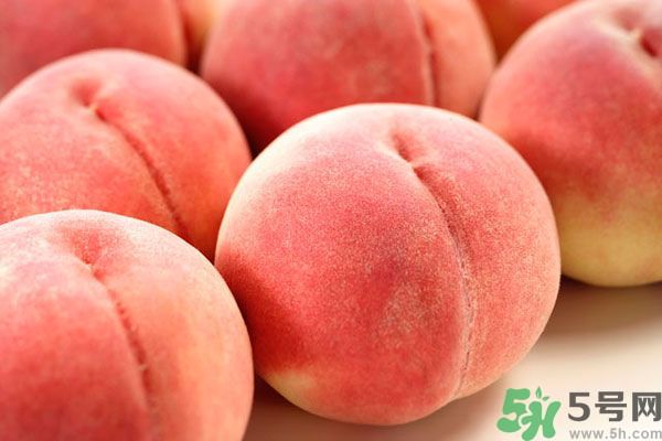 桃子和杏子可以一起吃嗎？杏子和桃子有什么區(qū)別？