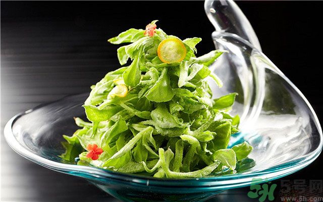 什么是冰草？冰草有什么作用？