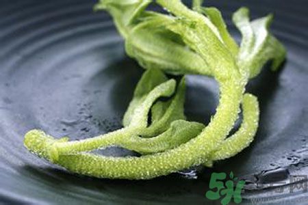 冰草好吃嗎？冰草怎么做好吃？