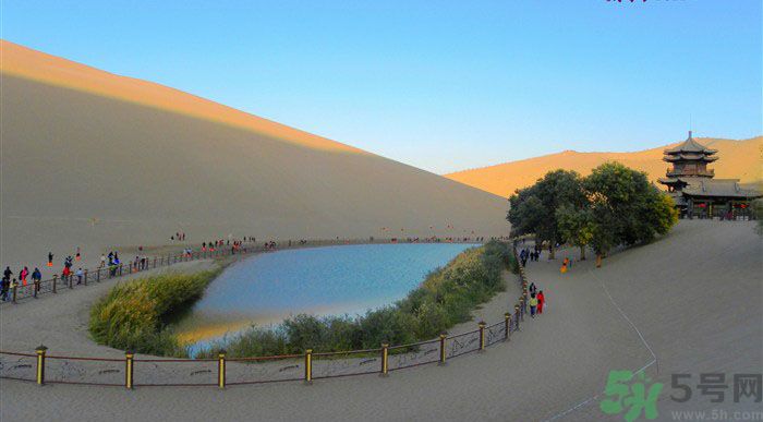 月牙泉再現(xiàn)鐵背魚 什么是鐵背魚？