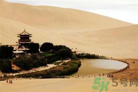 月牙泉再現(xiàn)鐵背魚 什么是鐵背魚？