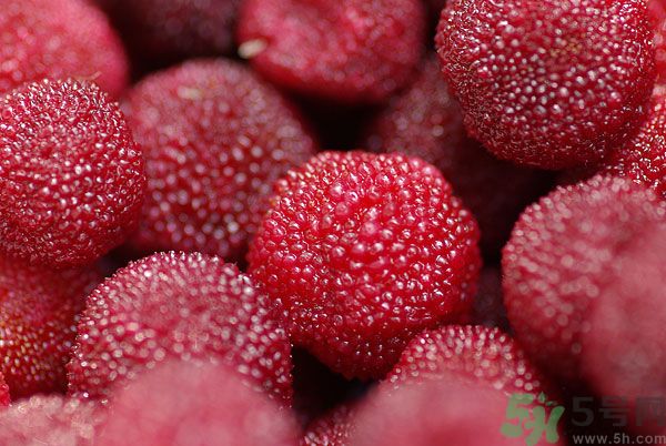 楊梅和梅子是一樣的嗎？楊梅和梅子有什么區(qū)別？