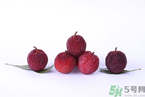 楊梅和梅子是一樣的嗎？楊梅和梅子有什么區(qū)別？