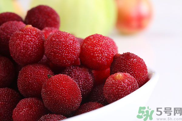 楊梅和梅子是一樣的嗎？楊梅和梅子有什么區(qū)別？