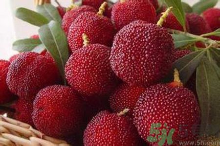 楊梅是不是發(fā)物？楊梅是發(fā)物嗎？