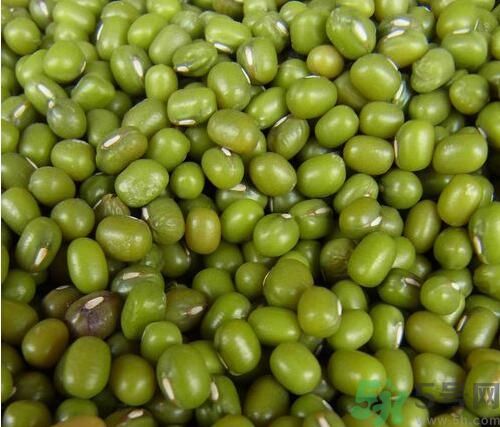 吃綠豆可以減肥嗎？喝綠豆湯能減肥嗎？
