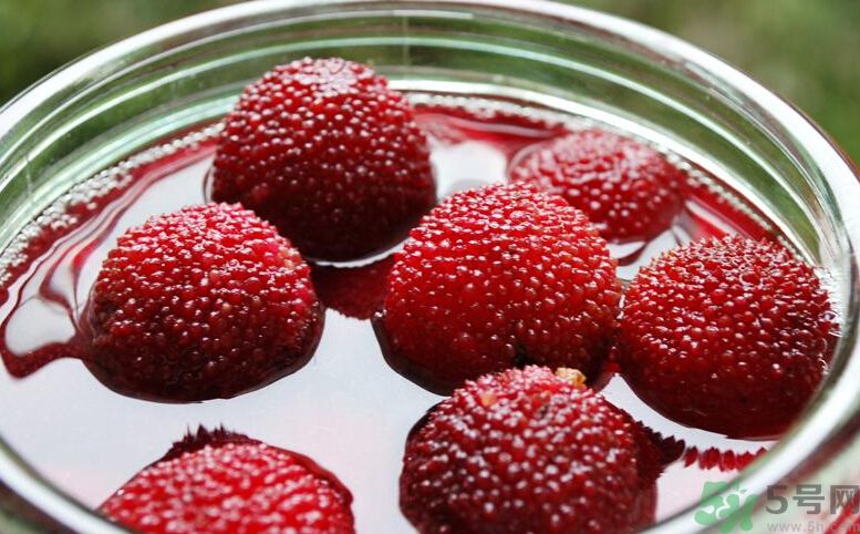 寶寶可以吃楊梅嗎？寶寶多大可以吃楊梅？