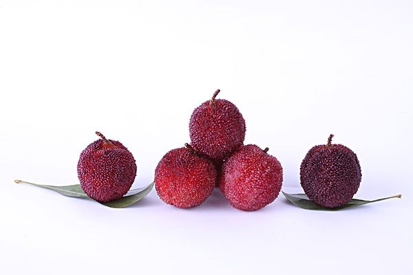 楊梅和梅子是一樣的嗎？楊梅和梅子有什么區(qū)別？