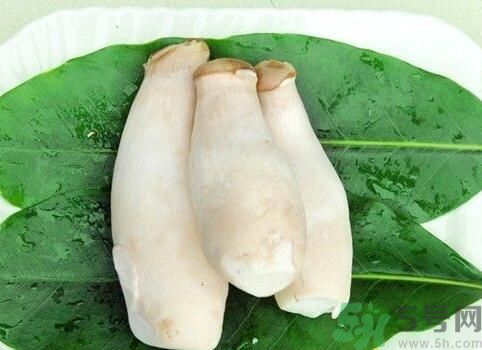 吃杏鮑菇有什么好處？吃杏鮑菇對身體好嗎？