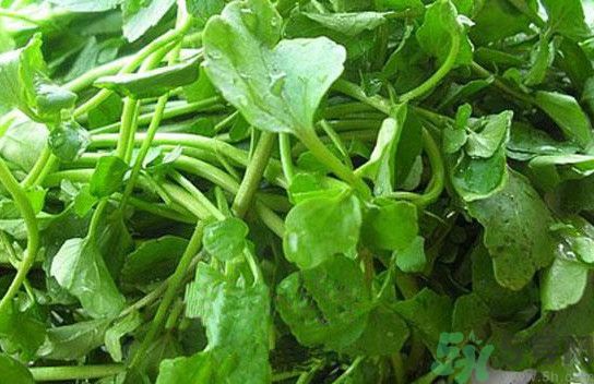 水腫能吃茄子嗎？茄子能消水腫嗎？