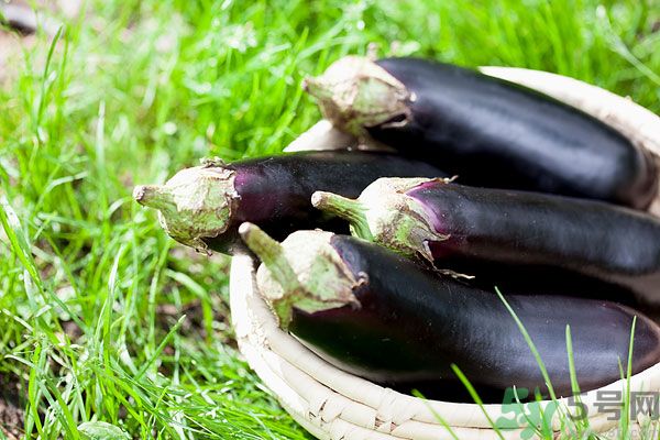 水腫能吃茄子嗎？茄子能消水腫嗎？