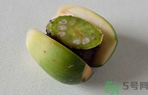 孕婦可以吃檳榔嗎?孕婦吃檳榔對(duì)胎兒有什么影響 孕婦可以吃檳榔嗎?孕婦吃檳榔對(duì)胎兒有什么影響