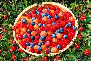 痛風(fēng)能吃櫻桃嗎？痛風(fēng)吃櫻桃可不可以？