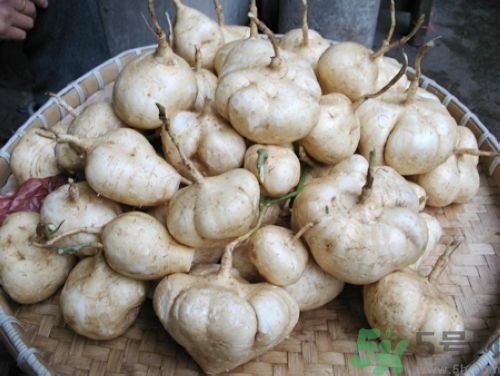 白地瓜怎么做好吃？白地瓜的做法有哪些？