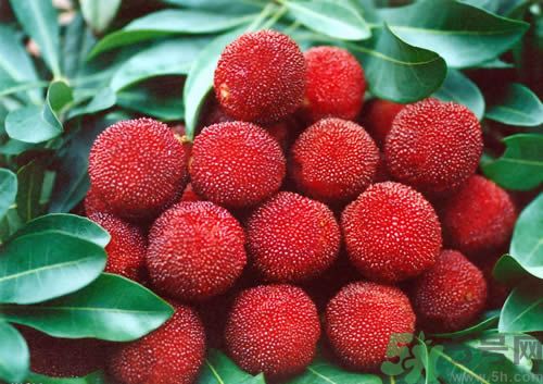 高血壓可以吃楊梅嗎？吃楊梅血壓會升高嗎？