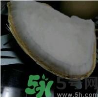 椰子可以放冰箱嗎？椰子放冰箱容易壞嗎？