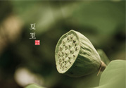 夏至有什么習(xí)俗？夏至吃什么傳統(tǒng)食物？
