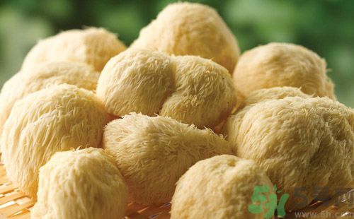 吃猴頭菇有什么好處？猴頭菇有什么營(yíng)養(yǎng)價(jià)值？