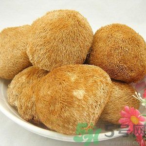 吃猴頭菇有什么好處？猴頭菇有什么營(yíng)養(yǎng)價(jià)值？